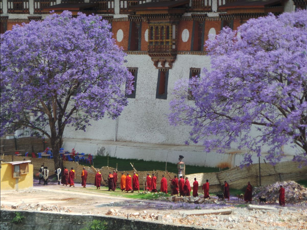 Punakha Dzong11